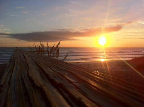 The world is your sun.