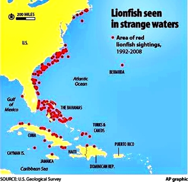 invasion-map-of-lionfish