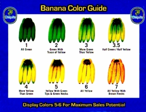banana-guide